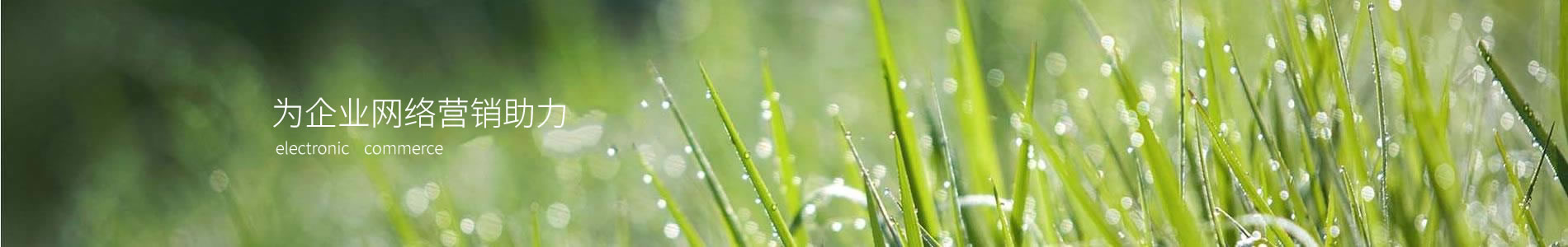 ɸҾ޹˾